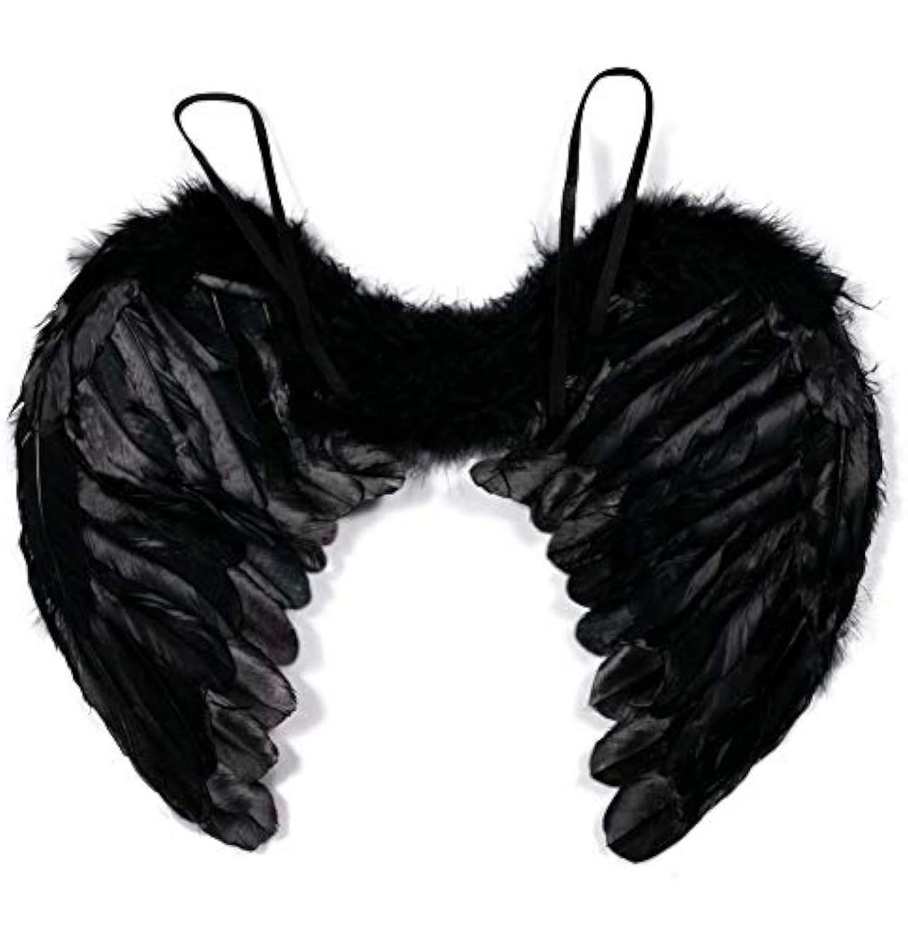Black Feather Wings heart