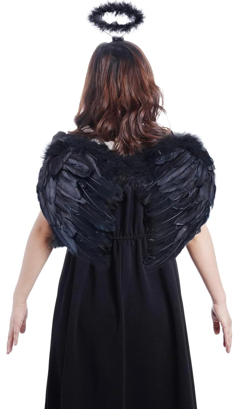 Black Feather Wings heart