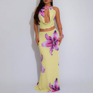 Yellow and pink set orquidia flower