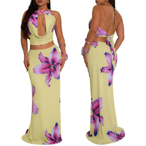 Yellow and pink set orquidia flower
