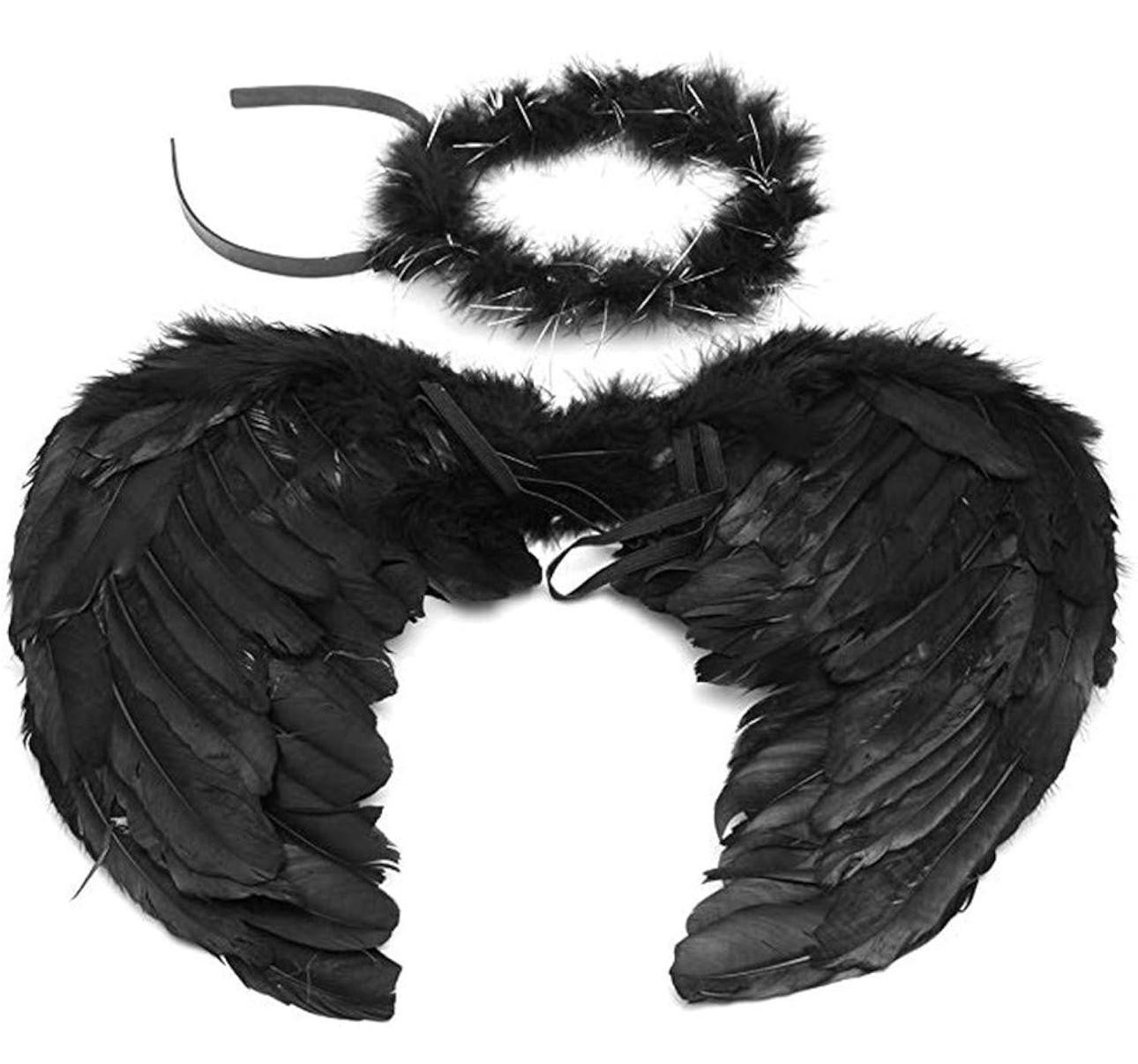 Black Feather Wings heart