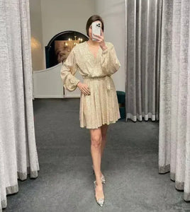 Champagne Long Sleeve Short Sequins Dress