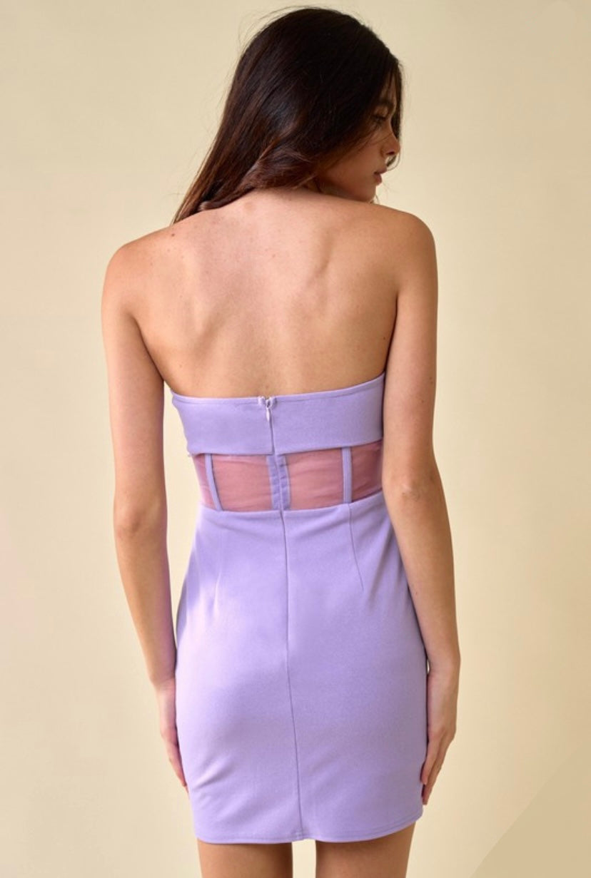 Lilac Strapless Sheer Corset Dress