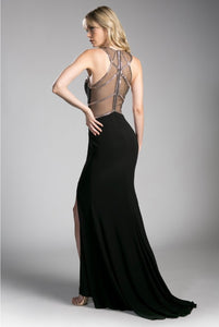 Black & Rose Gold Sheer Long Dress