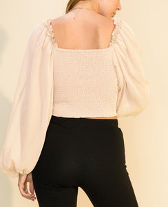 Sheer Sleeve Crop Top Blouse