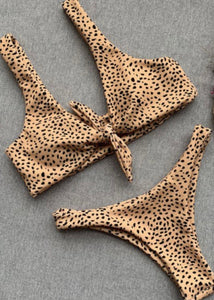 Front Tie Animal Print Bikini