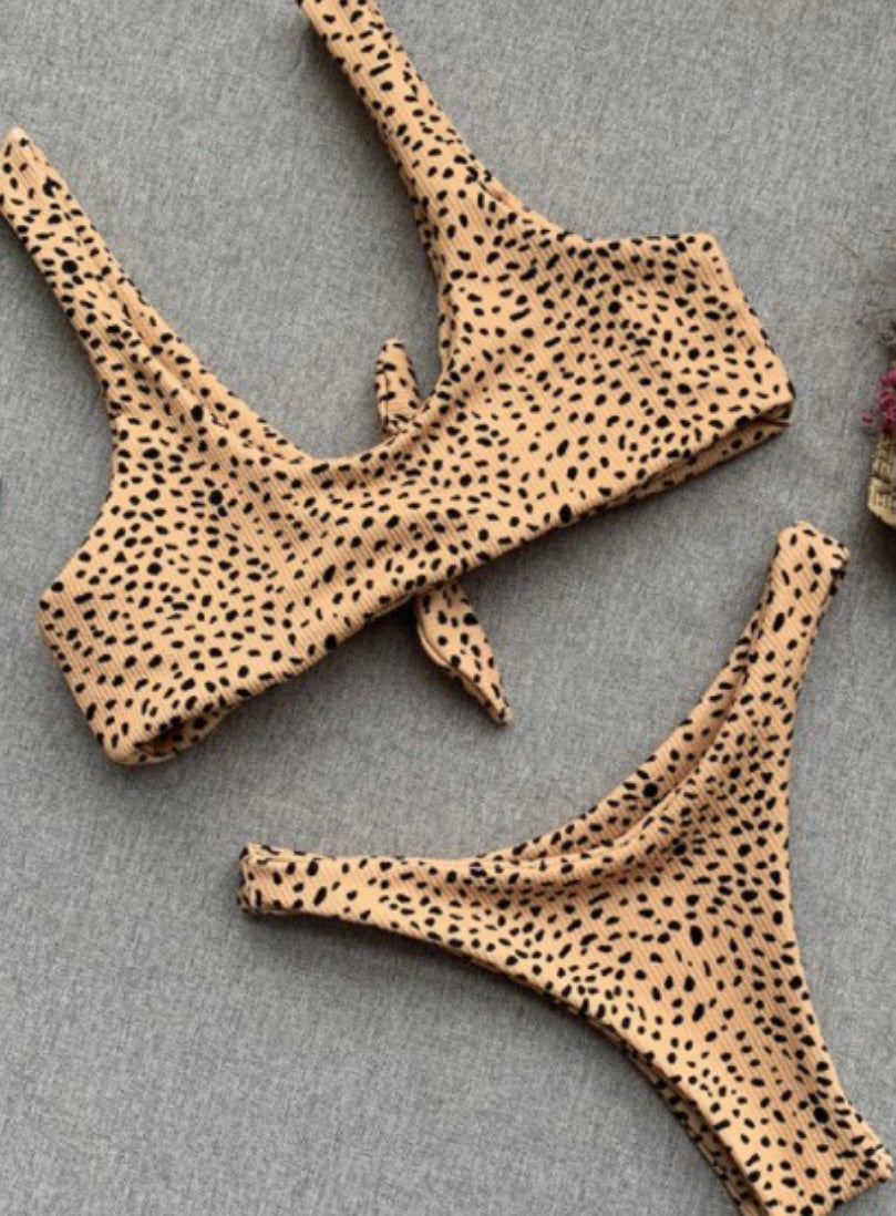 Front Tie Animal Print Bikini