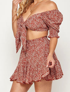 Ditsie Floral Printed Crop Top and Skirt Set